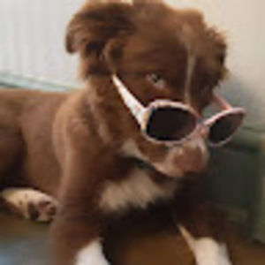 Meet your Posher, Layla